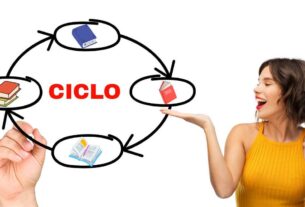 ciclo de estudo para concurso